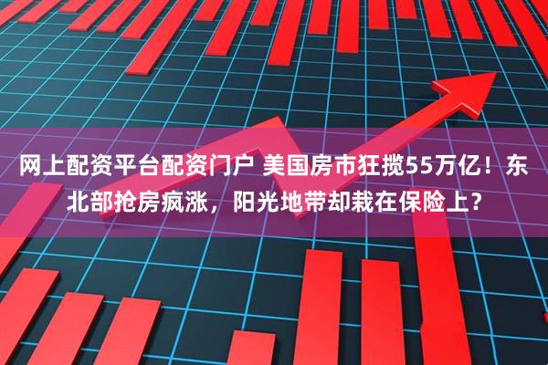 网上配资平台配资门户 美国房市狂揽55万亿！东北部抢房疯涨，阳光地带却栽在保险上？